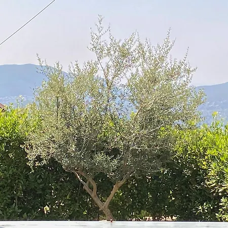 ληγάτο House بيت للعطل